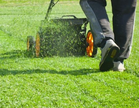 5 Signs Your Havertown Lawn Needs Professional Mowing, Not a DIY Cut Thumbnail