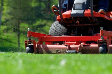 Professional Lawn Mowing Services for a Healthy, Beautiful Lawn Thumbnail