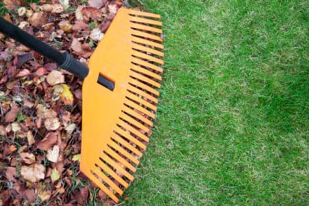 Why Fall Cleanup Services Are Essential for a Healthy Lawn Thumbnail