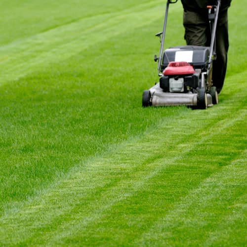 Exterior House Washing