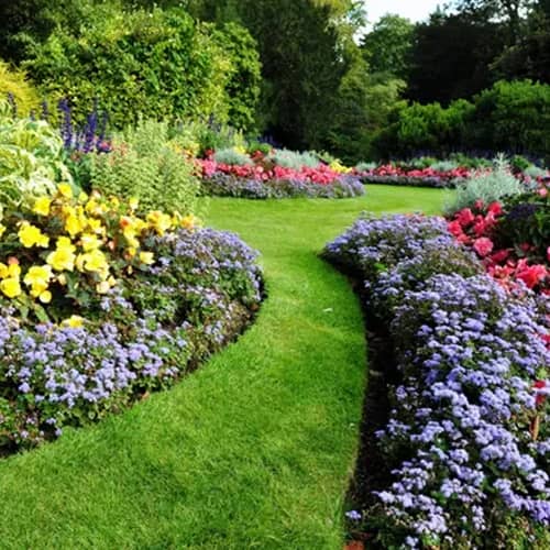 Exterior House Washing