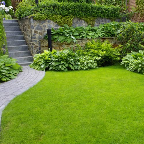 Exterior House Washing