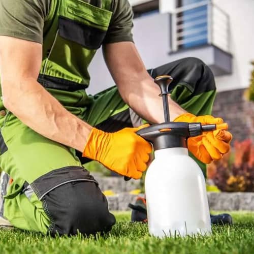 Lawn Fertilization Image