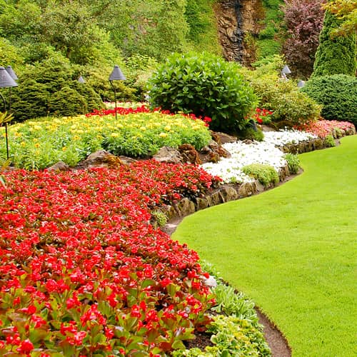 Flowerbed Maintenance Image