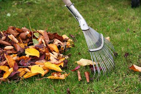 Fall Cleanup Thumbnail